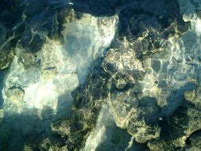 Shark Bay Stromatolites
